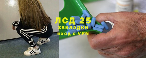 индика Абдулино