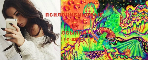 индика Абдулино