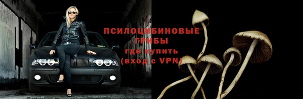 индика Абдулино
