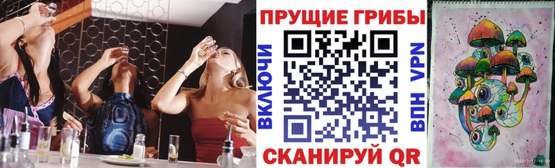 Галлюциногенные грибы MAGIC MUSHROOMS  купить   Севастополь 