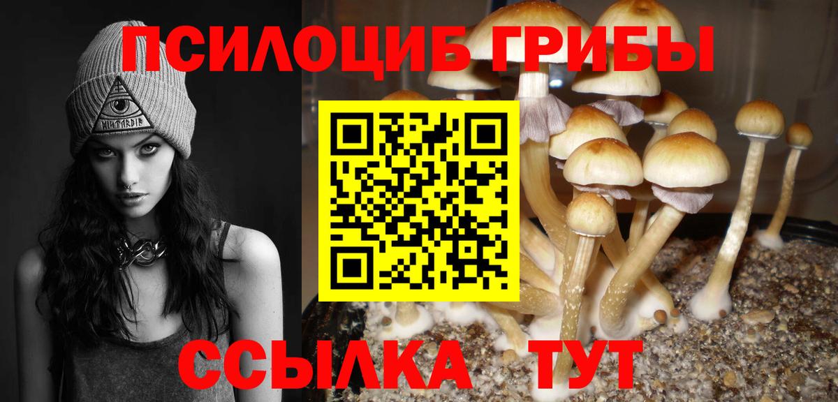 Севастополь  Псилоцибиновые грибы MAGIC MUSHROOMS  Вход с VPN 