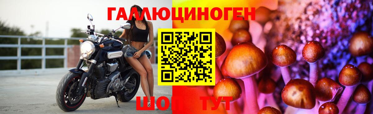 Псилоцибиновые грибы мухоморы Севастополь